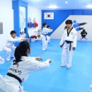 내체력 태권도장 이미지