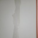 구미해모루리버시티 실리카 비취블루 색상 탄성코트 시공후기