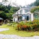 비발디 스케치북 이미지