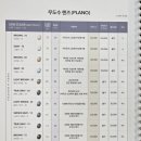 봄빛 안경 이미지