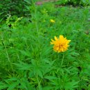 키다리농장 이미지