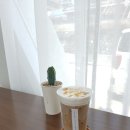 위시빈카페 이미지