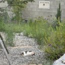 스테이 아네트 이미지