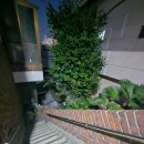 청학동주차장2 이미지