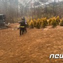 선영코리아 이미지