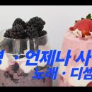 곡명 . 언제나 사랑해 가사 . 노래 디셈버 DK 이미지