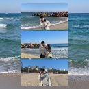 화부산로40번길 | [국내/강릉] 10주년 밥풀이와 함께 하는 1박 2일 강릉여행 (반려견동반🐶)