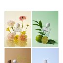 조향 블랜딩 이미지