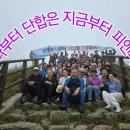 피앤피글로벌