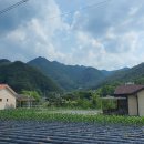 현5리 마을회관 이미지