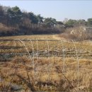 장암면지토리보건진료소 | 부여군토지(답)경매투자문의-2018타경4020, 부여군 토지(답)경매♠♠충남 부여군 장암면 상황리 -명도대행