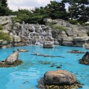 까치공원 바닥분수 이미지