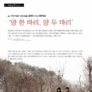 비디오플러스 이미지