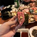 매일크리스마스 이미지