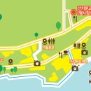 선도수선화 이미지