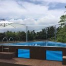 천년비자 이미지