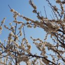 덕풍천동로 이미지