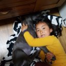 태흥 예술극장 이미지