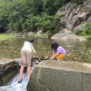 천진암 | 🌿 경기도 광주 천진암 계곡 당일치기 물놀이 후기! 서울 근교 최고의 계곡 나들이 장소