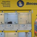 옐레드 애견유치원&애견호텔 대구신월성점 이미지