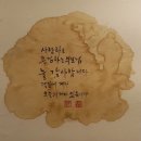다님길 이미지