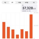 렛미잇 | 2026 피크페스티벌 후기 : 생일파티는 슬램존에서 해라