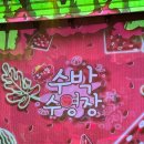 2024 광주 어린이 상상극장 <수박수영장> | 어린이 뮤지컬 서울 공연 수박수영장 개장했어요