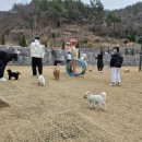 부주산 시민문화체육센터 이미지