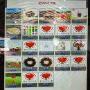 용수골목장 | 용수골 양귀비축제 실시간 개화 후기 및 주차장 원주 5월 축제