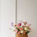 다이소 칠곡2지구 이미지