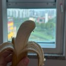 아이사랑병원 | 목포미즈아이병원 입원 후기_다인실, 1인실, 출산가방 준비물, 신생아실 면회, 황달 (25년 8월)