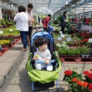 정운농장 이미지