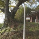 고고농장2 이미지