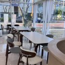 화동로R | 광주근교 화순 알메로 커피 앤 브런치 (아기와 갈만한 신상카페/아기랑 카페/돌전아기)