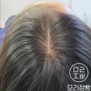 모리점빵 티스토리