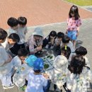 운곡초등학교 이미지