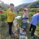 전북특별자치도농업기술원 이미지