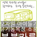 영락목장 이미지