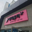 몽이 애견샵 이미지