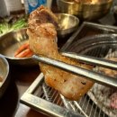 식껍서초직영점 | 양재역 근처 맛집 식껍 서초 직영점 스페셜 모둠한판