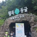 동굴 낙지와 쭈꾸미 이미지