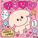 누보 | [본식스냅 예약] 서울경기원주예신주목! 원주아모르 1인대표 ‘누보스냅’ 계약후기