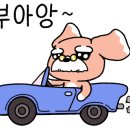신성꽃집 이미지