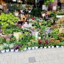 다온농수산 이미지