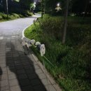 슈슈댕 이미지