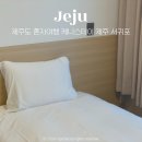 제주 혼자여행 숙소 &lt;케니스테이 서귀포&gt; 가성비 호텔 싱글룸 주차