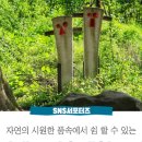 용전숲 공중화장실 이미지