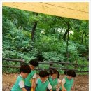 아콘유아숲체험원 이미지
