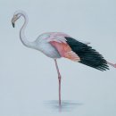 A's휘트니스여성헬스 이미지