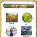 에벤에셀 이미지